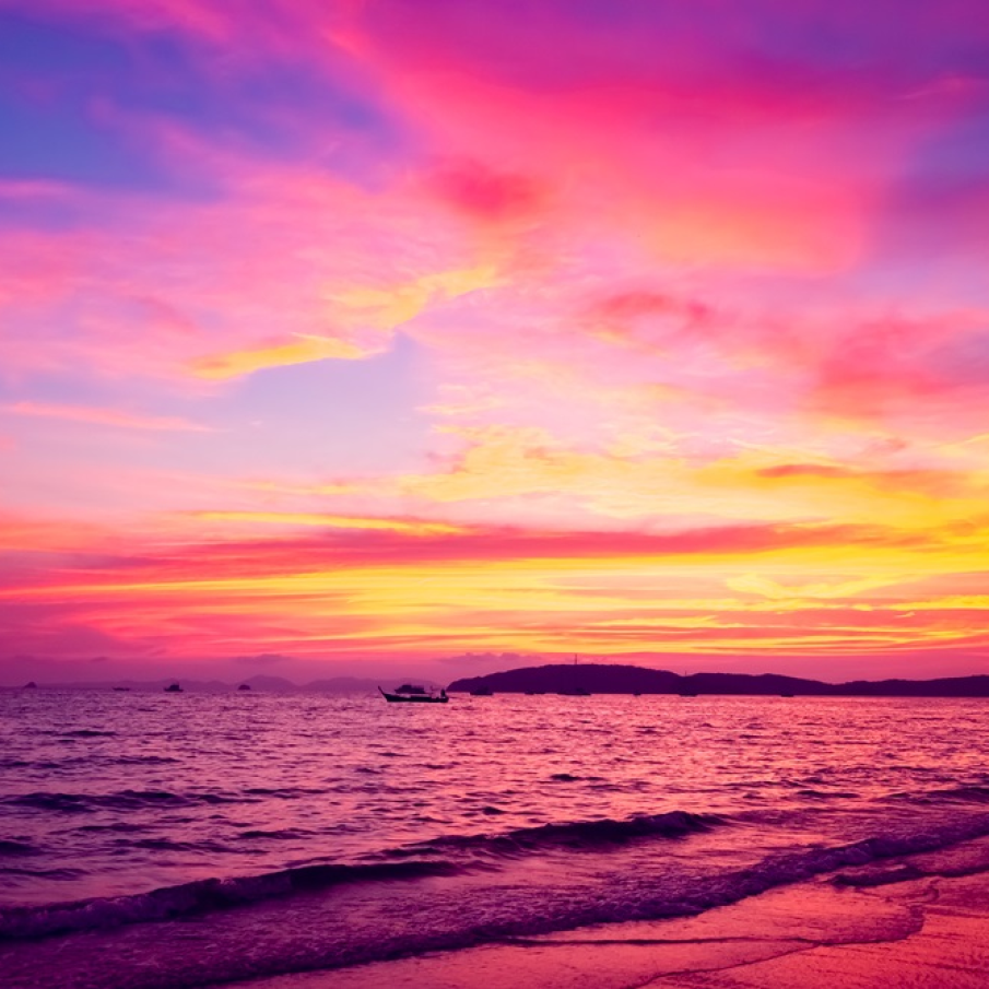 Planeta purpurie, planeta vie 