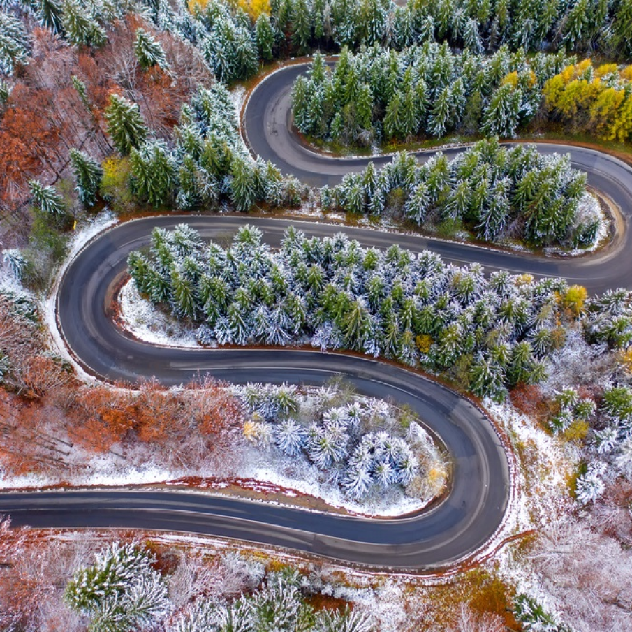 Păduri de brazi cu cetina tot verde și serpentine amețitoare 