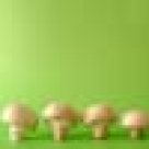 Mancarica inabusita de ciuperci