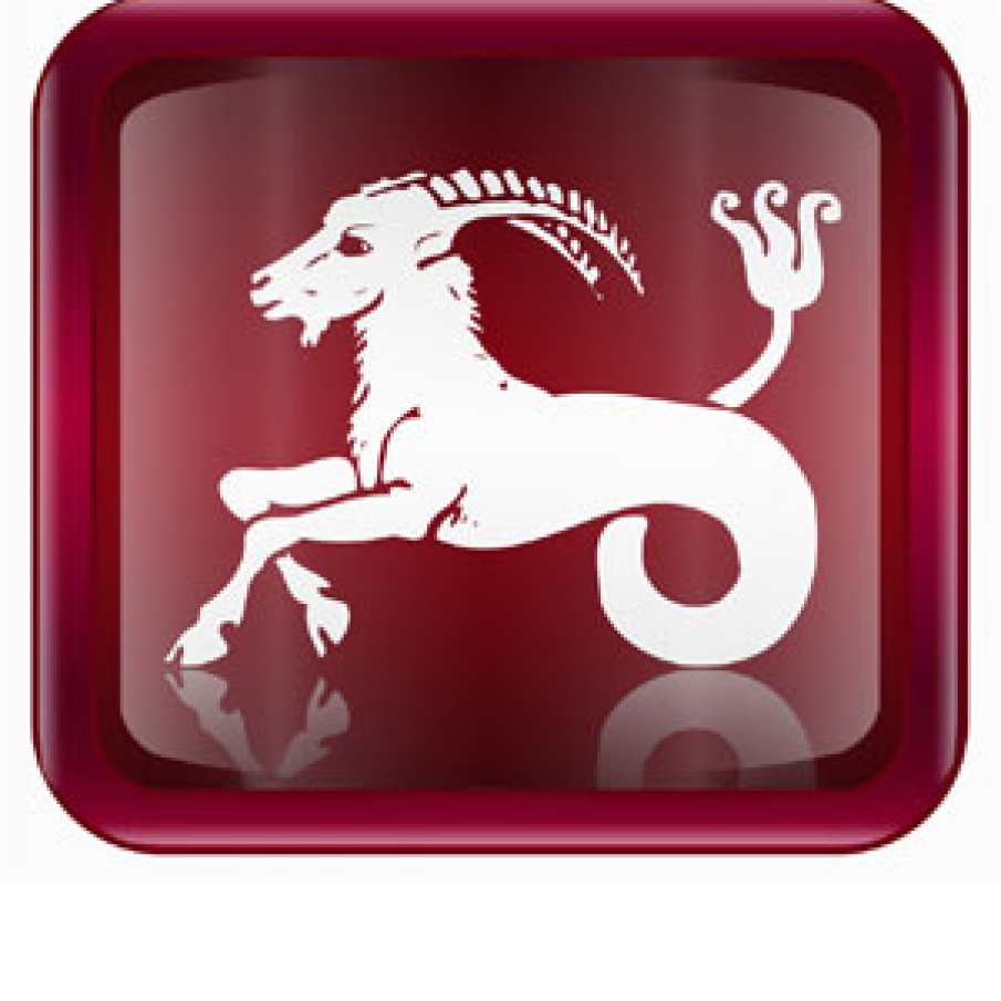 Horoscop 2010 Capricorn