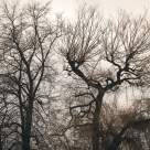 Și totuși vine toamna - Adrian Păunescu