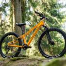 Un altfel de Black Friday la ZMEU BICLE