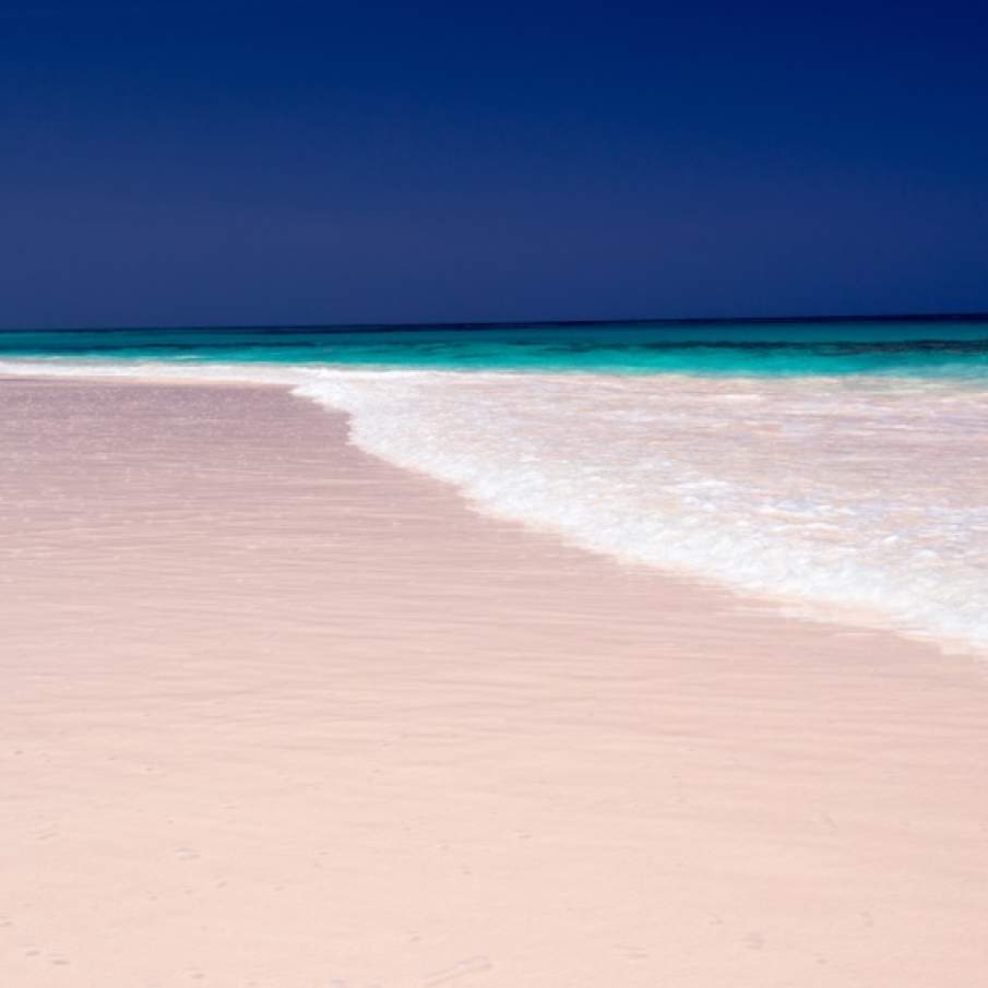Plaja cu nisip roz de pe insula Harbour, Bahamas (țară insulară din arhipelagul Lucayan, locul în care Columb a ajuns în Lumea Nouă în 1492) este probabil una din cele mai frumoase și idilice plaje ale lumii. 