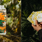 Waterdrop celebrează femeile puternice și creative, lansând o nouă colecție în ediție limitată cu design inspirat de Frida Kahlo