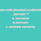 Mini-test de vocabular: Care este pluralul corect?