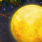 22 decembrie 2018 - Cea mai lungă Lună Plină a anului. Luna plină în Rac are o energie magică!