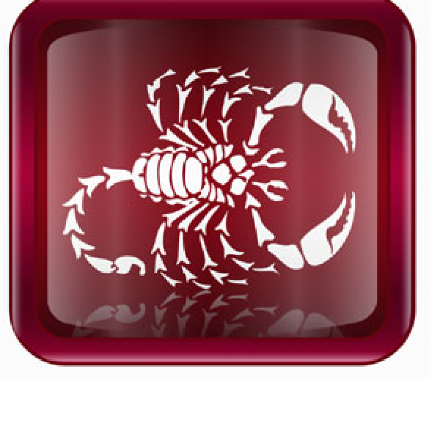 Horoscop 2010 Scorpion