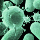 Atentie: Epidemie de Boala mana-picior-gura