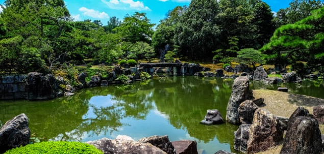 Din ce zona a tarii provine regionalismul „elesteu”?