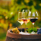 Interviu cu Miron Radic, CEO Crama Liliac: Povestea vinului care celebrează o prietenie de o viață întreagă