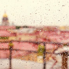 Sunt cele mai frumoase fotografii in ploaie pe care le-am vazut vreodata: Vezi cum arata Sankt Petersburg sub ploaie!