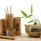 Atentie: Plante interzise pentru gravidute!