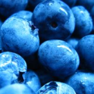 Secretul tineretii: acai berry