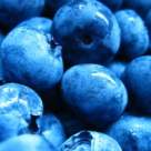 Secretul tineretii: acai berry