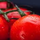 Roșiile, secretul natural pentru un ten strălucitor. Trucul simplu pe care puțini români îl cunosc