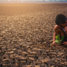 UNICEF: Un miliard de copii sunt expuși riscului extrem de ridicat de a resimți impactul crizei climatice