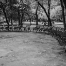 Cișmigiu Mon Amour: Declarație de dragoste pentru cel mai vechi parc din București