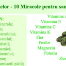 10 Miracole pentru sanatate cu KALE 