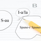 Test de gramatica: Unde se pune cratima?