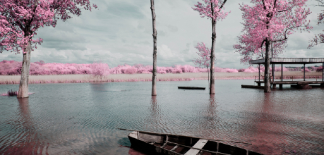 Ce iti transmite aceasta imagine?