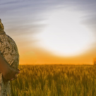 Top 5 plante care stimuleaza in mod natural fertilitatea