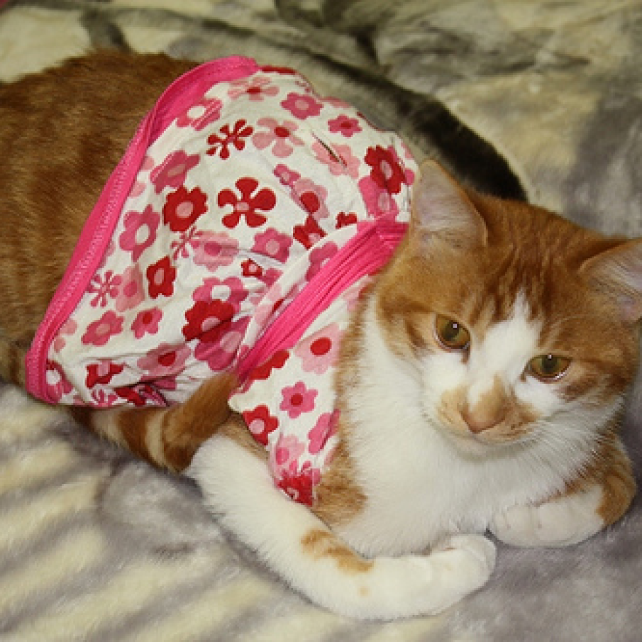 Rochita cu motive florale