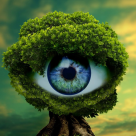 Testul D.S.M., fascinantul test al celor 3 Imagini 