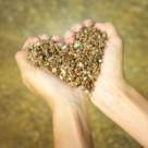 Renunta la impotrivire pentru a trai in pace!