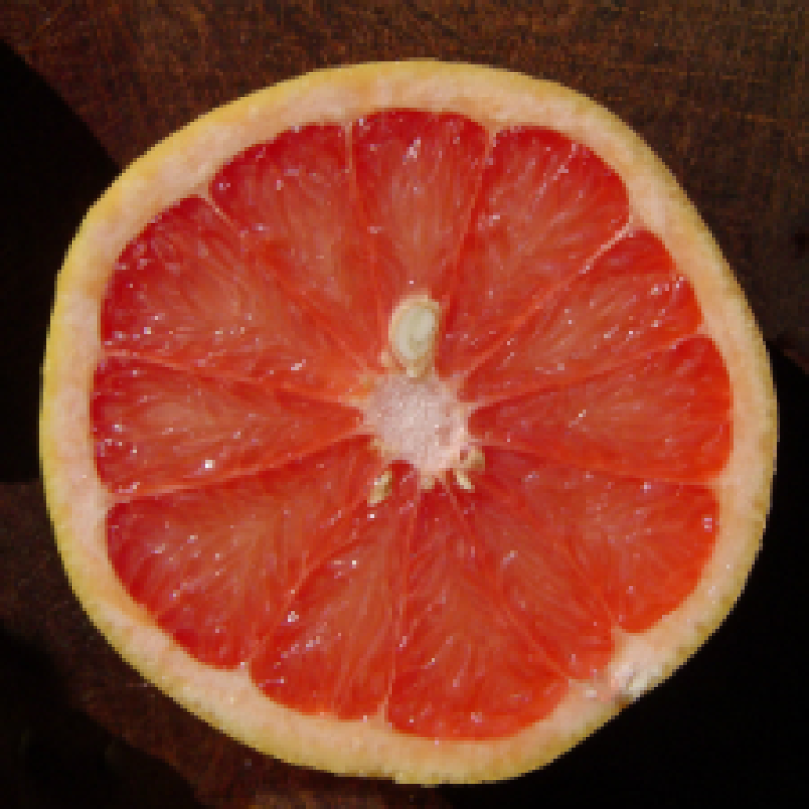 Grapefruit 