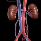 SRN avertizeaza: Boala cronica de rinichi, o amenintare pentru sanatatea publica