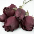 Iubirea a murit. Traiasca iubirea!