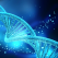 Mutatiile unei gene reduc cu 40% riscul de boli cardiovasculare