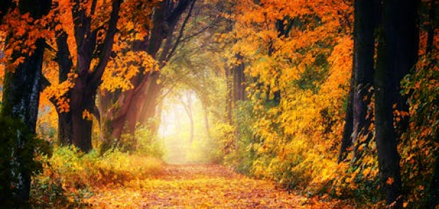 Cum ai descrie energia lunii octombrie pentru tine?