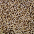 Soia, un remediu oriental antic