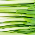 USTUROIUL VERDE: 8 motive extraordinare pentru care nu il vei mai considera niciodata o leguma banala