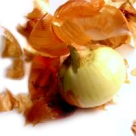 Ceapa, leguma cenusareasa din bucatarie