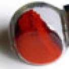 Iepure cu curry rosu