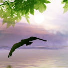 5 mantre pentru liniste psihica si sanatate