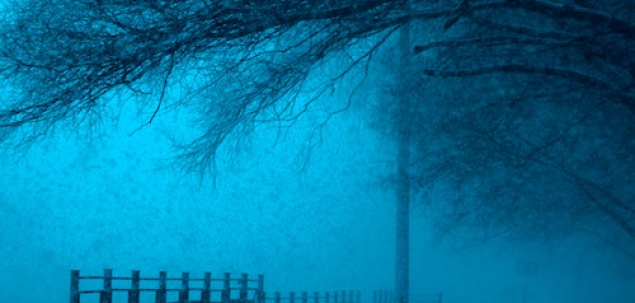 Cum reactionezi in fata fricii?