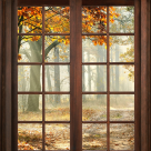 Mi-a bătut azi-noapte Toamna-n geam, mi-a bătut cu degete de ploaie... Cu toamna în odaie - Ion Minulescu