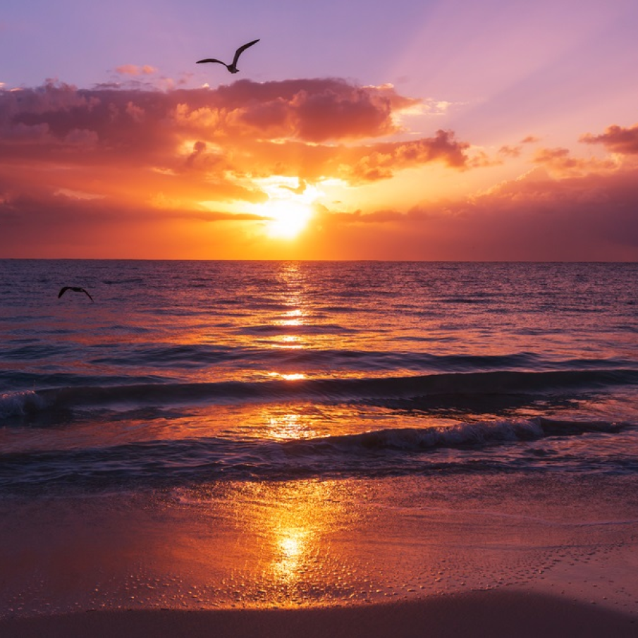 Gratitudine si reverie 🙏🙏🙏