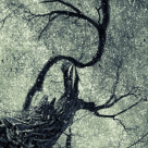 Spatiul variantelor: Cum sa ne dezvoltam intuitia si sa ne alegem soarta 