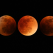 Horoscopul Eclipsei de Luna Rosie: 15 Aprilie 2014, zi magica!