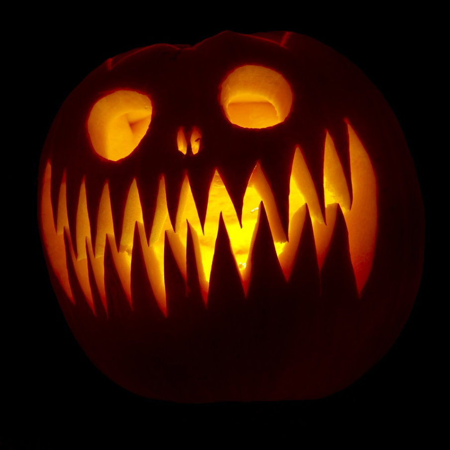 Dna Bufniță, întotdeauna un simbol al înțelepciunii