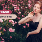 Testul Trandafirilor: Ce citat te descrie cel mai bine?