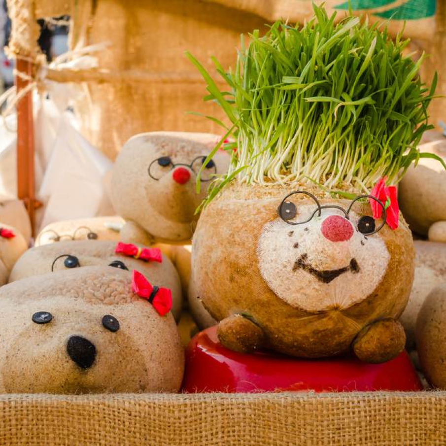 Un arici dragalas cu pistrui si zambet inimos 