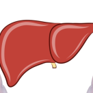 'Ceea ce medicii nu va vor spune niciodata' despre sanatatea FICATULUI
