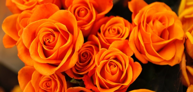 Alege o floare.