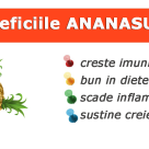 Ananasul: beneficii minunate pentru sanatate