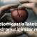 Cardiomiopatia Takotsubo – Durerea emotionala care ramane gravata in inima